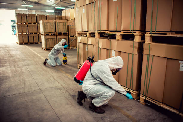 Best Pest Prevention Services  in Omaha, TX