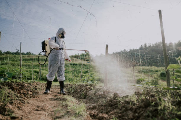 Best Mosquito Control Services  in Omaha, TX