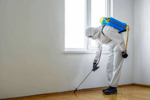 Best Insect Control  in Omaha, TX