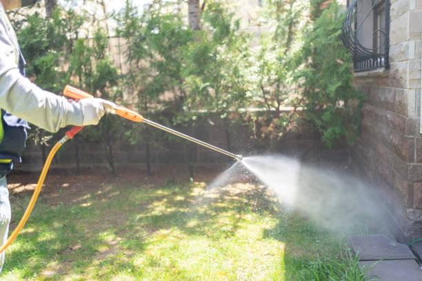 Best Pest Inspection Near Me  in Omaha, TX