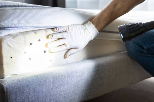 Best Rat Extermination Near Me  in Omaha, TX