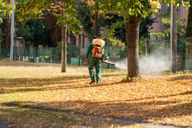 Best Commercial Pest Control Services  in Omaha, TX