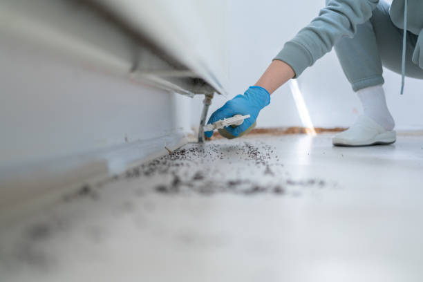 Best Local Pest Control Services  in Omaha, TX